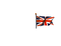 Ngt Logo